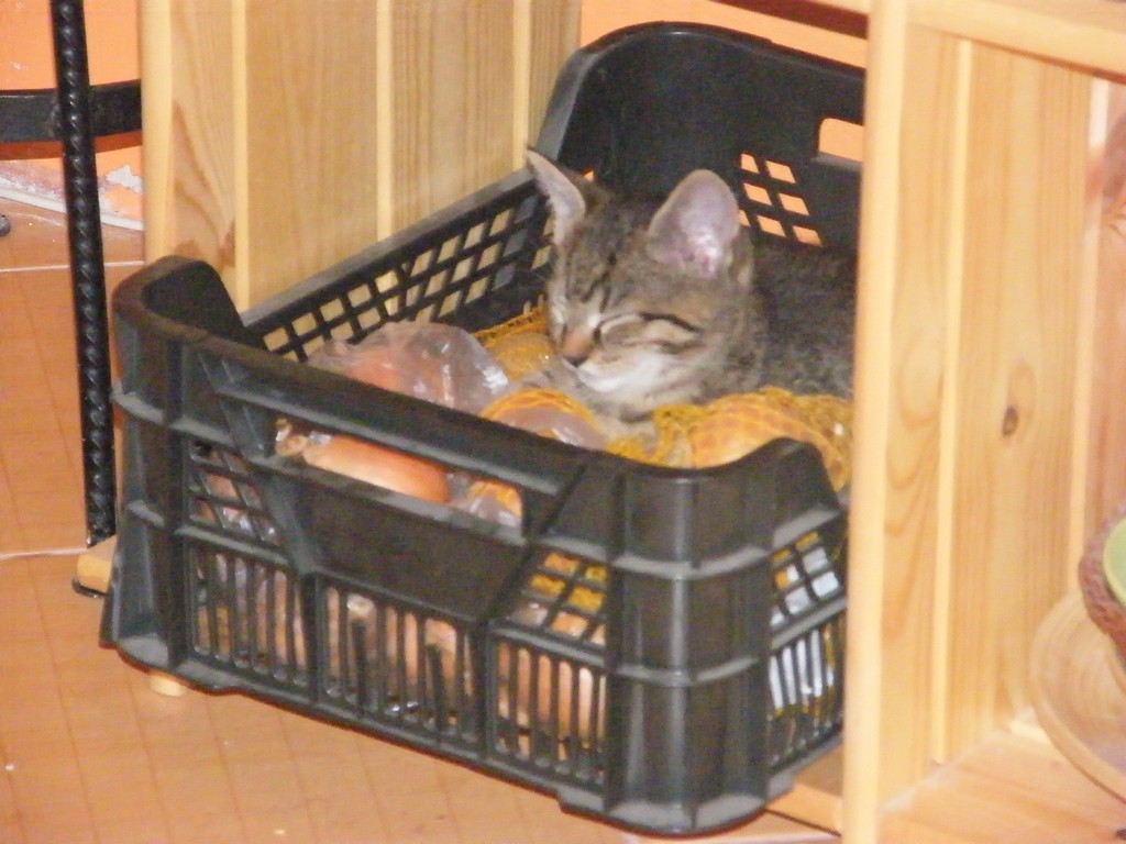 DSCF2535.JPG