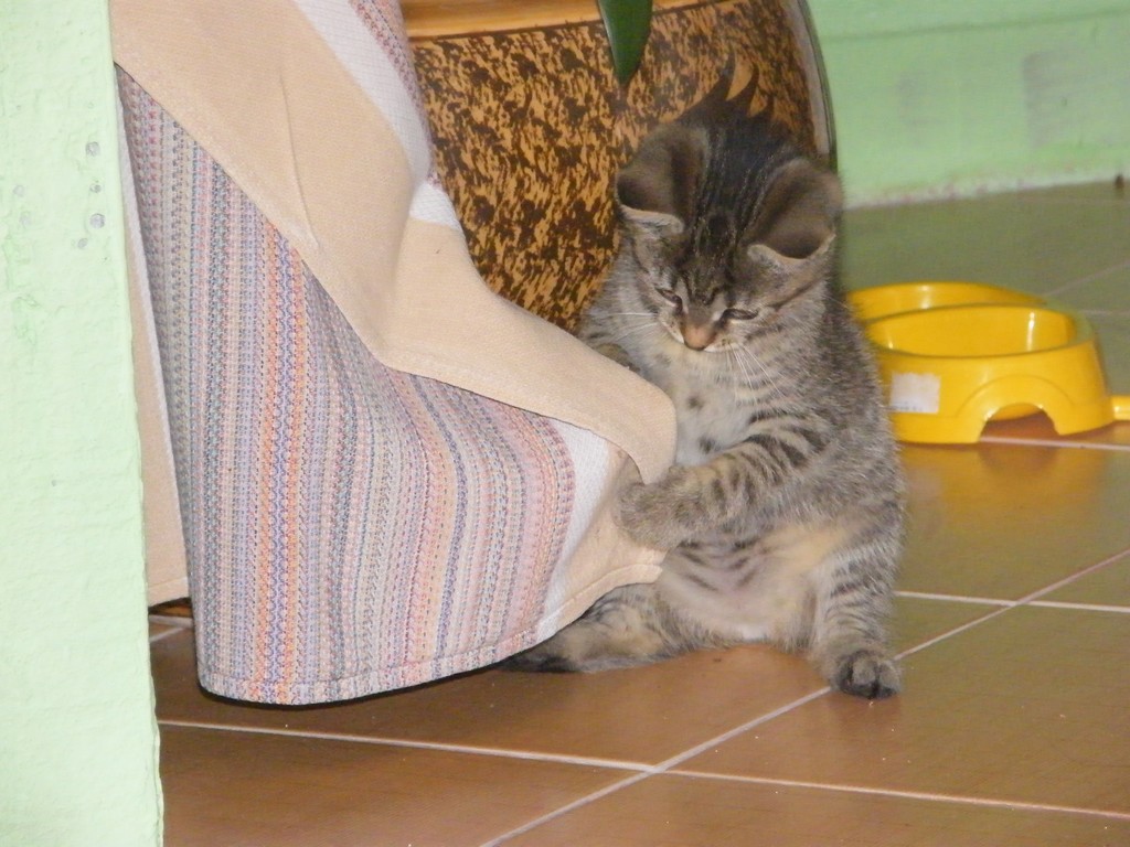 DSCF2545.JPG