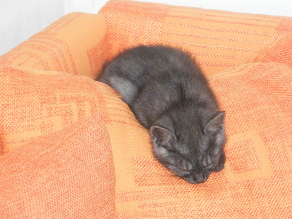 DSCF2581.JPG